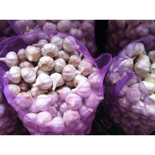 Normal White Garlic 4.5cm